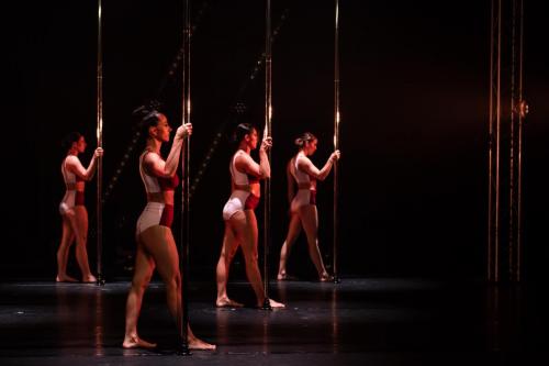 Vol-en-Pole-NNZ 6685